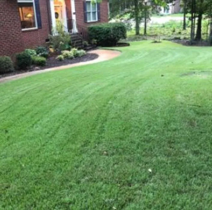 Affordable yard maintenance in Columbia, SC - Michael Wayne's Landscaping And Tree Service