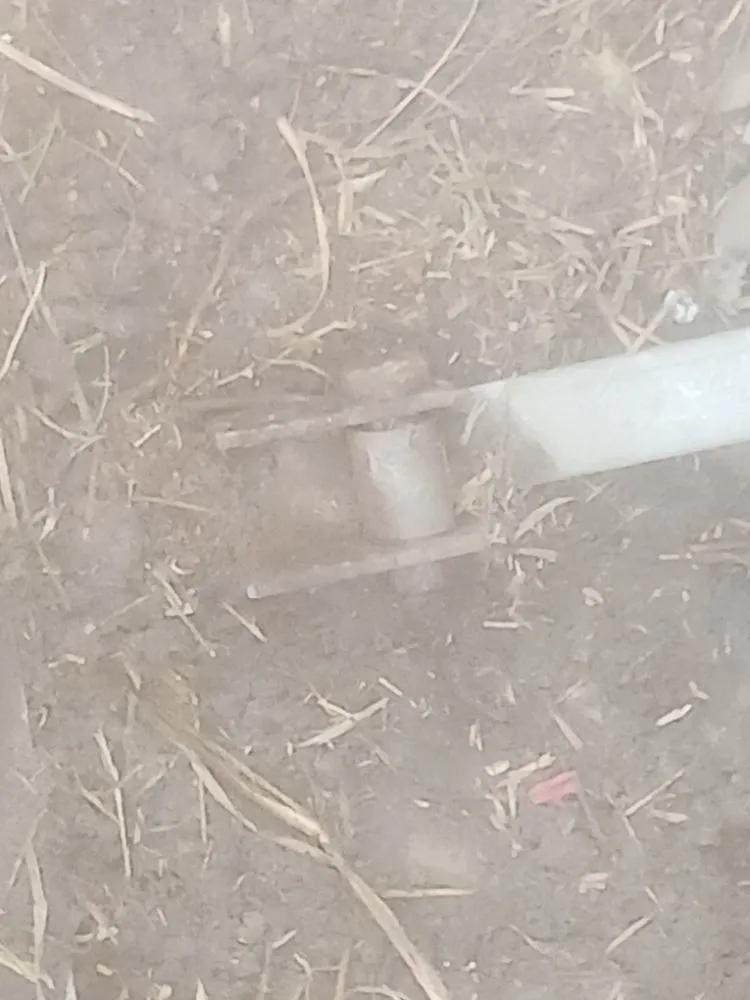 Professional yard cleanup service for residential properties across Loris, SC - Michaels All Around Service