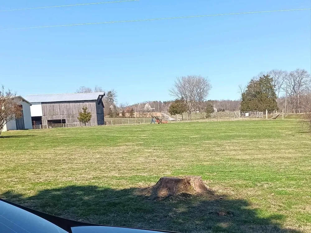 Professional lawn care service in Sweetwater, TN by Michaels Family Services