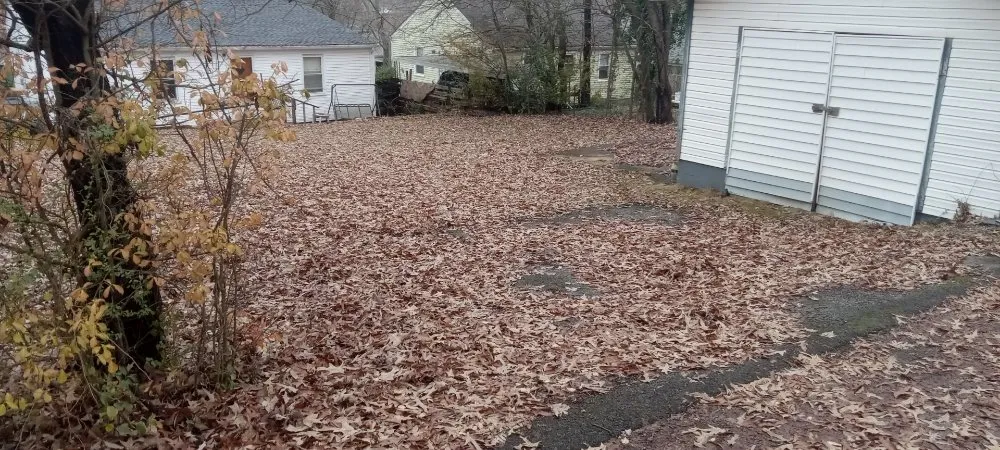 Top-rated yard cleanup service in Sweetwater, TN by Michaels Family Services