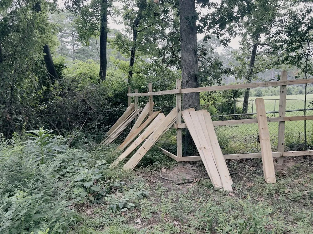 Trusted landscaping services in Longview, TX - Michaels Finishes