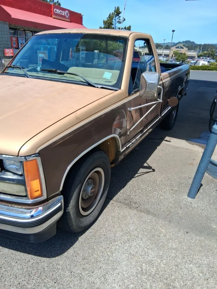 Trusted lawn care service for year-round maintenance in Lincoln City, OR by Michael's Handy Coastal Services