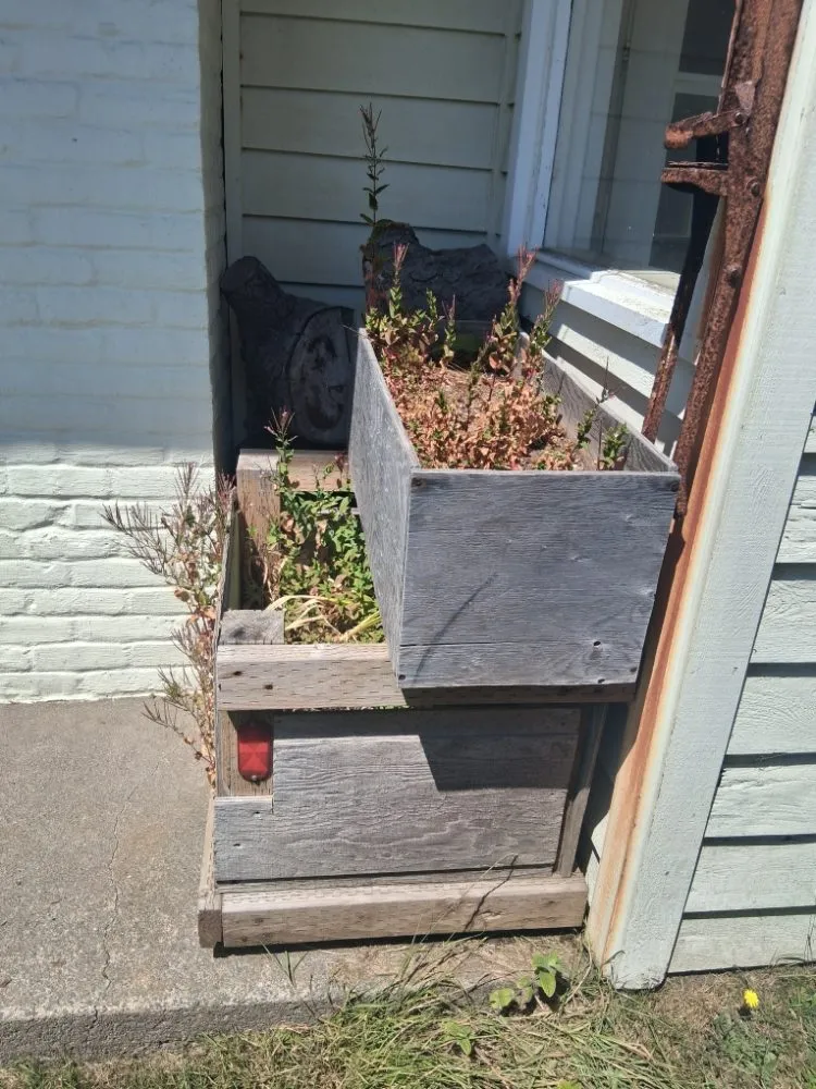 Top-rated lawn care service for year-round maintenance across Lincoln City, OR - Michael's Handy Coastal Services