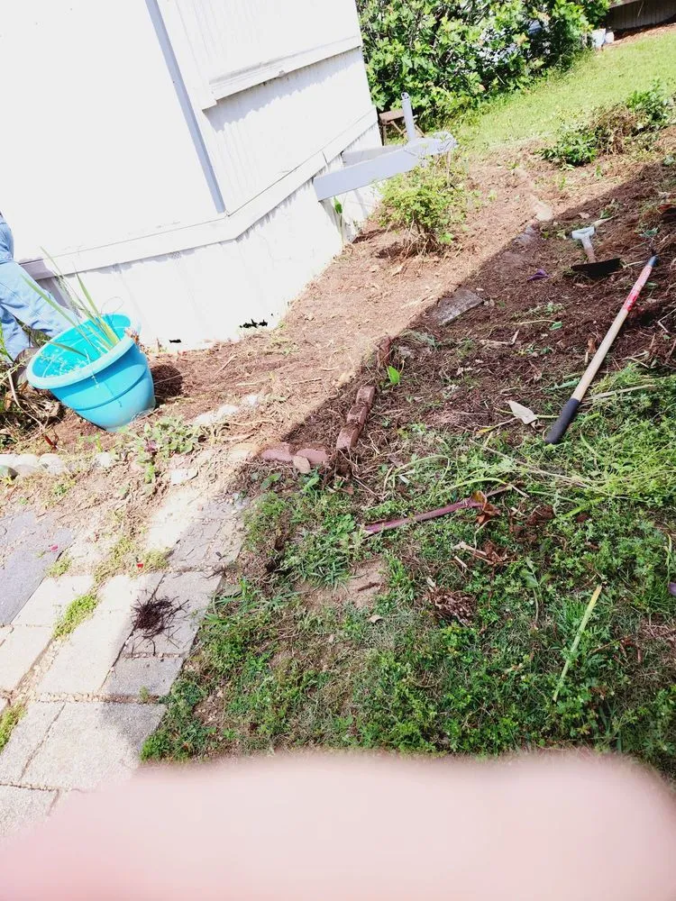 Professional landscape installation in Albany, GA by Michael's handyman service