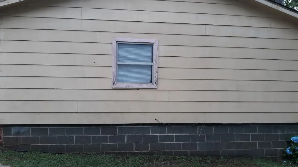 Top-rated yard cleanup service near you in Albany, GA by Michael's handyman service