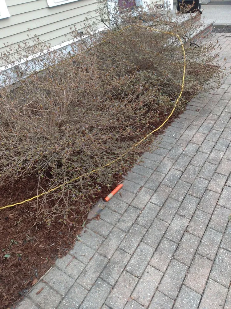 Local lawn mowing service in Newburyport, MA by Michael's Handyman services