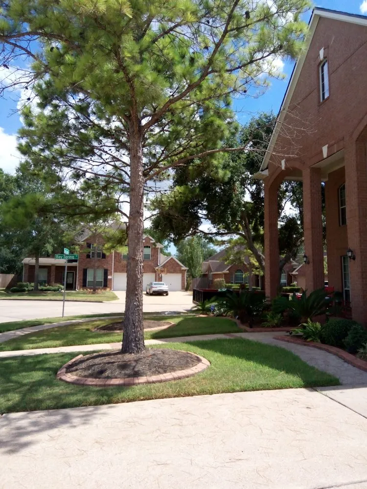 Custom lawn mowing service in Houston, TX - Michael's Home Improvements