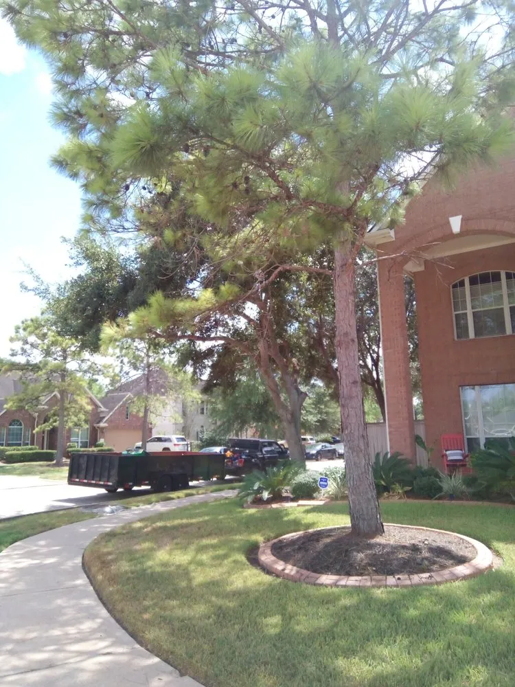 Affordable lawn mowing service experts serving Houston, TX - Michael's Home Improvements