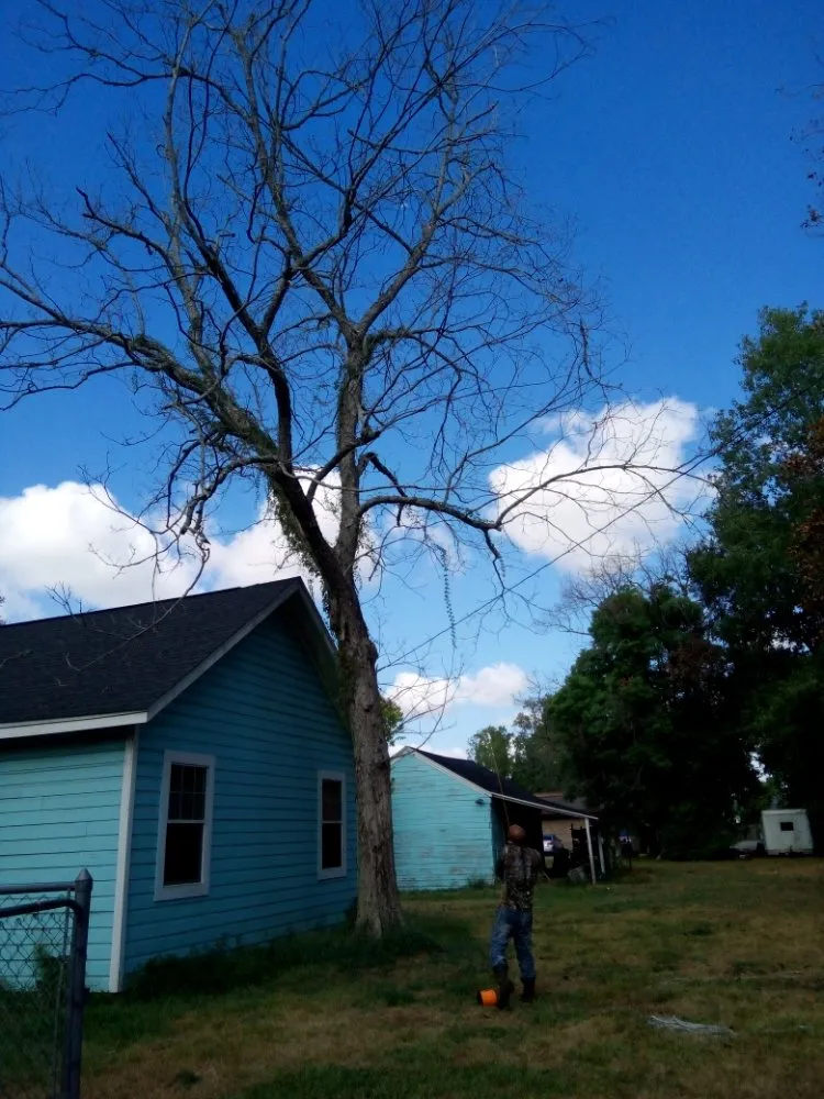 Reliable garden landscaping for residential properties in Houston, TX by Michael's Home Improvements