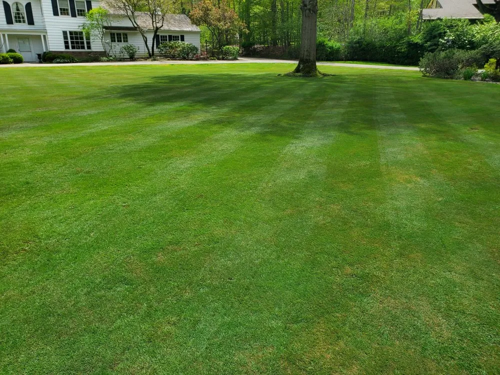 Custom residential landscaping in Independence, OH - Michaels Landscape & Consulting