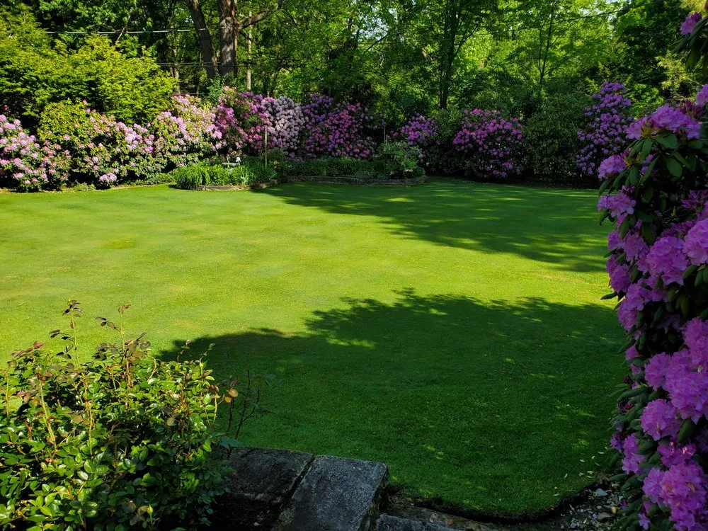 Professional landscaping services experts serving Independence, OH - Michaels Landscape & Consulting