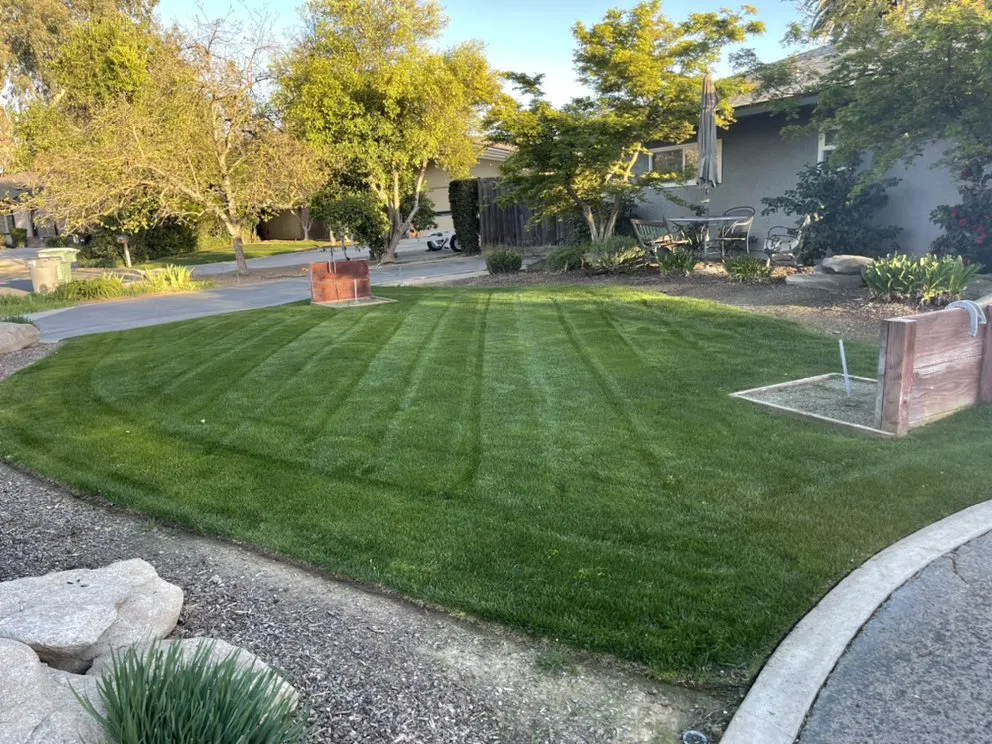 Expert yard maintenance experts serving Clovis, CA - Michael’s Landscape and Maintenance Services