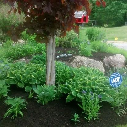 Top-rated lawn mowing service for residential properties across Hopkinton, NH - Michaels Landscape Design