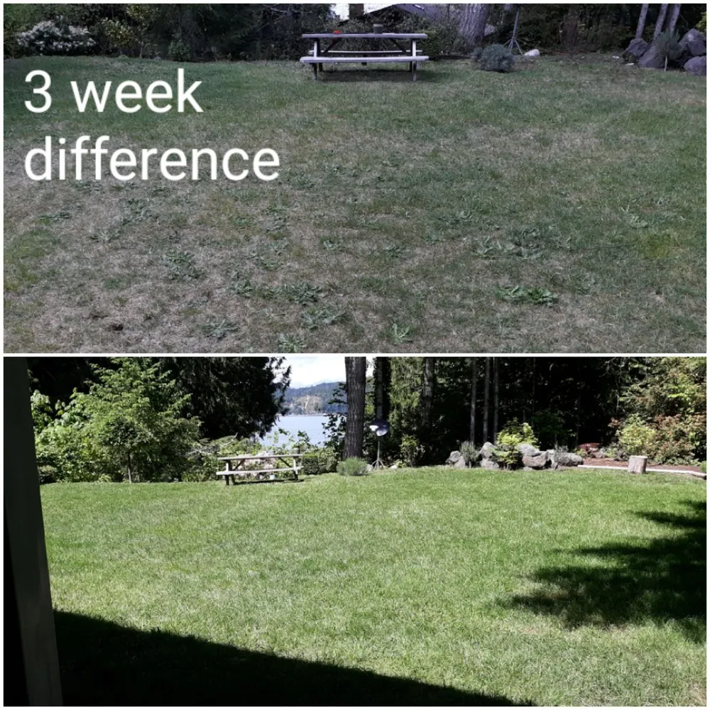 Top-rated garden landscaping for year-round maintenance in Belfair, WA by Michael's Landscaping & Lawn Care