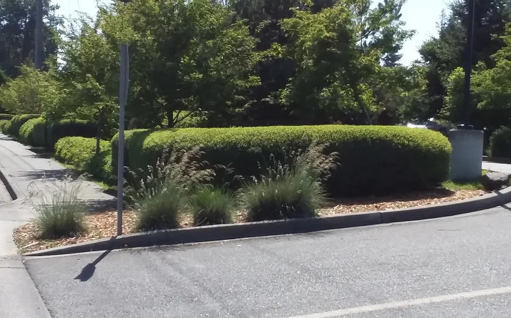 Trusted yard maintenance in Belfair, WA - Michael's Landscaping & Lawn Care