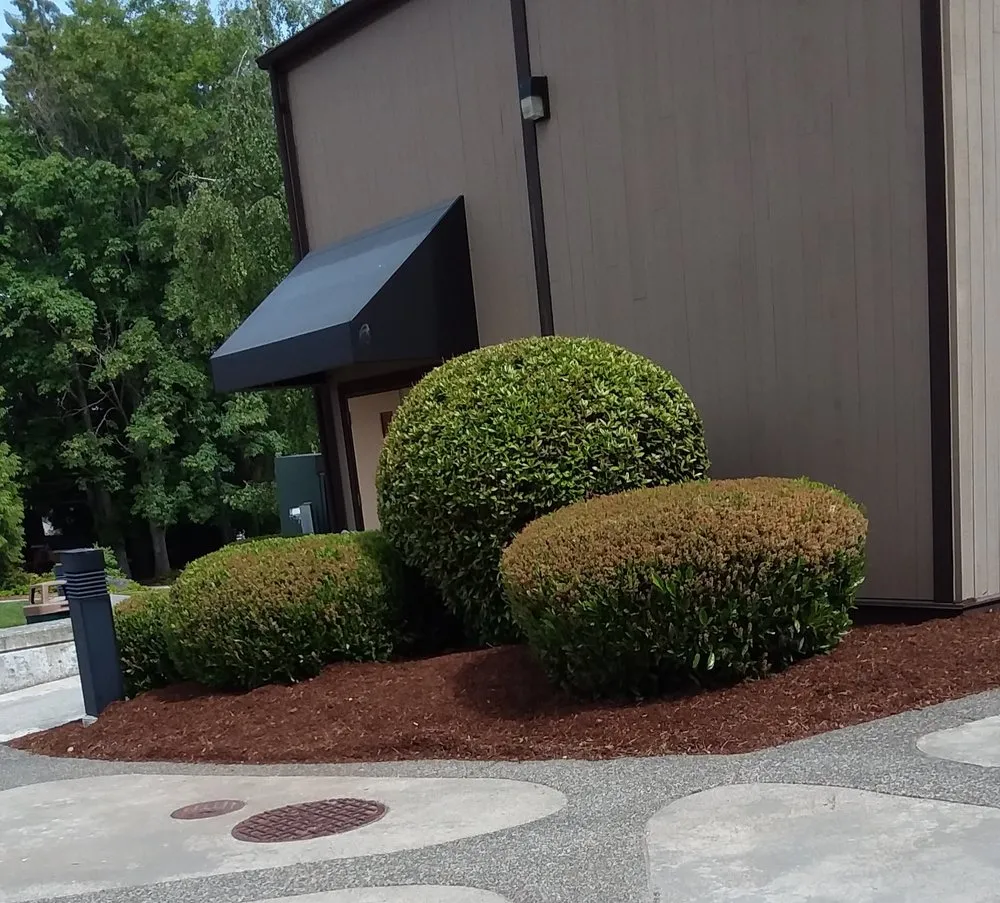 Local outdoor landscaping near you across Belfair, WA - Michael's Landscaping & Lawn Care