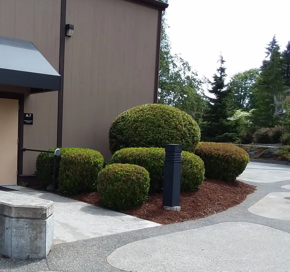 Reliable yard cleanup service in Belfair, WA - Michael's Landscaping & Lawn Care