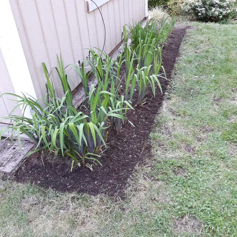 Affordable residential landscaping near you across Belfair, WA - Michael's Landscaping & Lawn Care