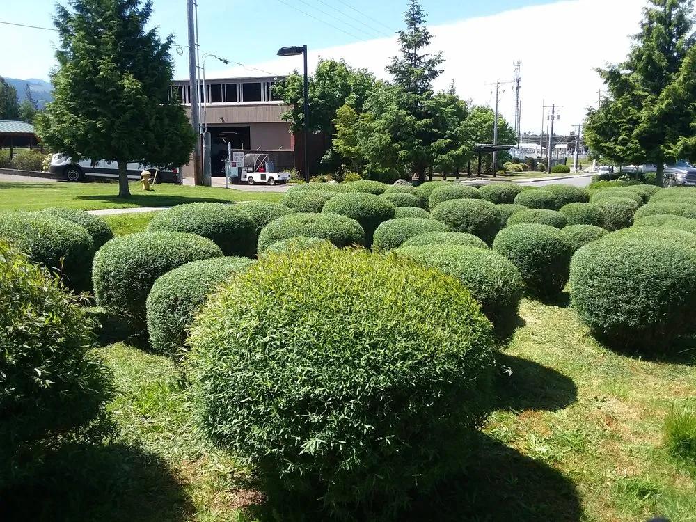 Trusted residential landscaping for residential properties in Belfair, WA by Michael's Landscaping & Lawn Care