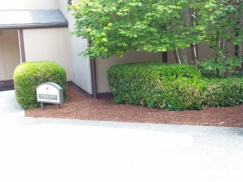 Expert residential landscaping in Belfair, WA by Michael's Landscaping & Lawn Care