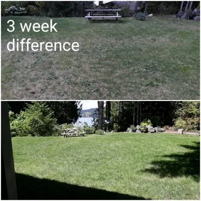 Michael's Landscaping & Lawn Care Logo