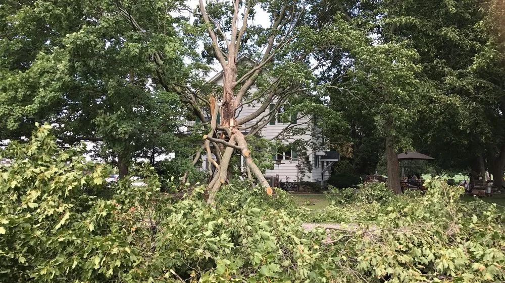 Custom yard maintenance with custom design across Elgin, IL - Michael's Landscaping and Pressure Washing