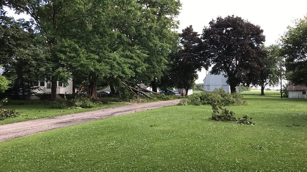 Top-rated landscaping services with custom design in Elgin, IL by Michael's Landscaping and Pressure Washing