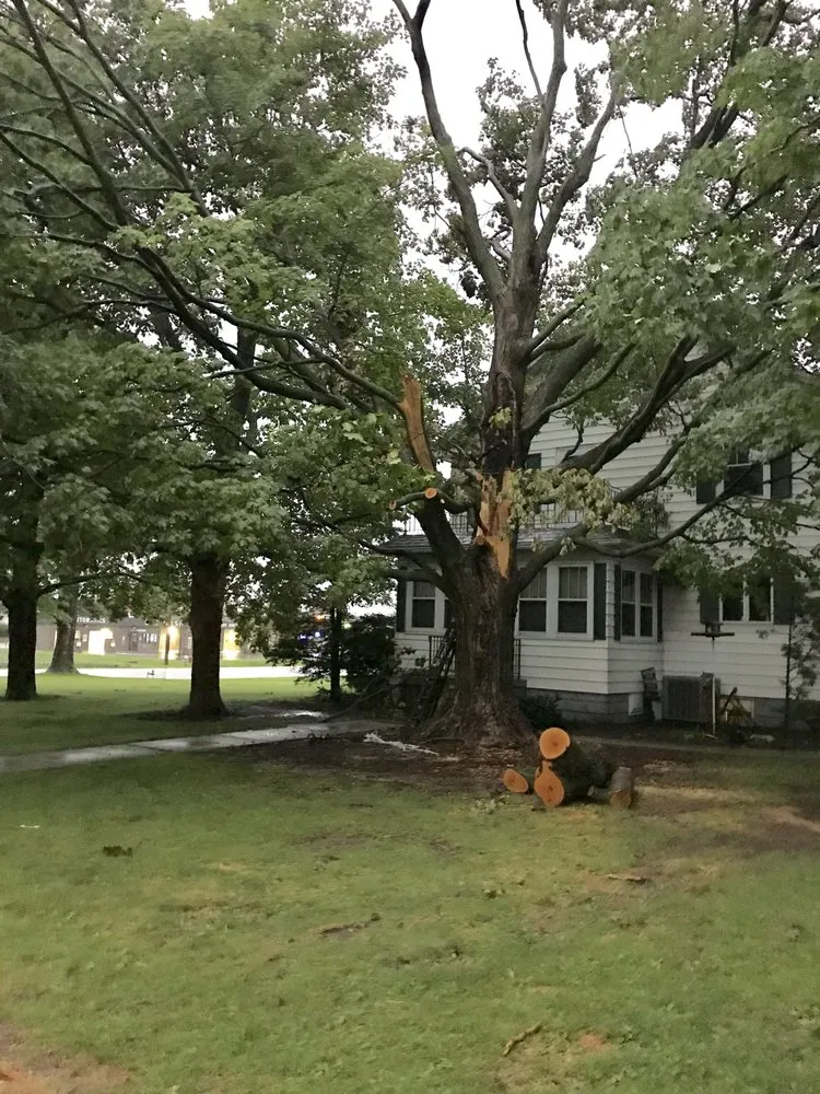 Expert garden landscaping in Elgin, IL - Michael's Landscaping and Pressure Washing