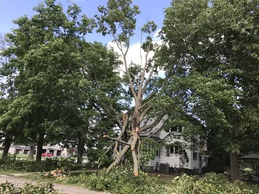 Michael's Landscaping and Pressure Washing Logo