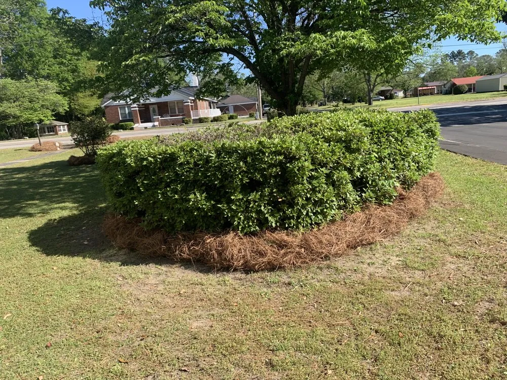 Reliable yard cleanup service for homes across North, SC - Michael's Landscaping