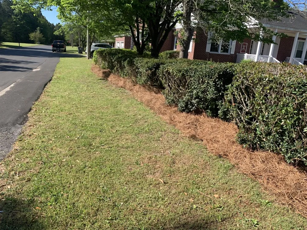 Expert yard maintenance near you across North, SC - Michael's Landscaping