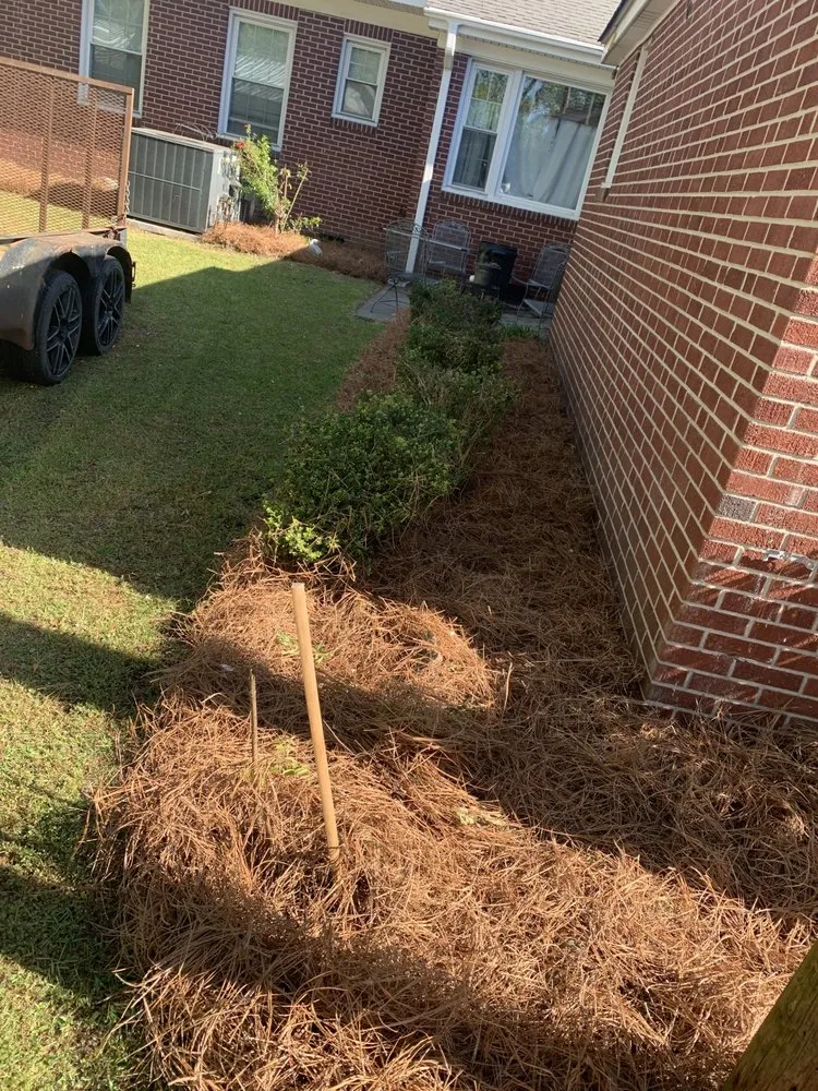 Reliable yard cleanup service in North, SC by Michael's Landscaping