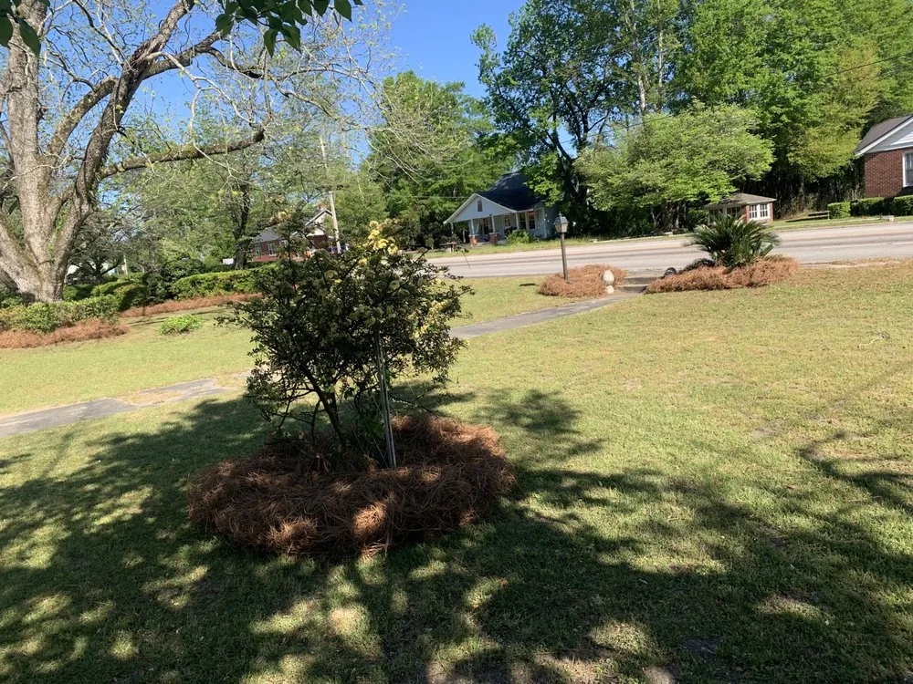 Reliable landscaping services experts serving North, SC - Michael's Landscaping