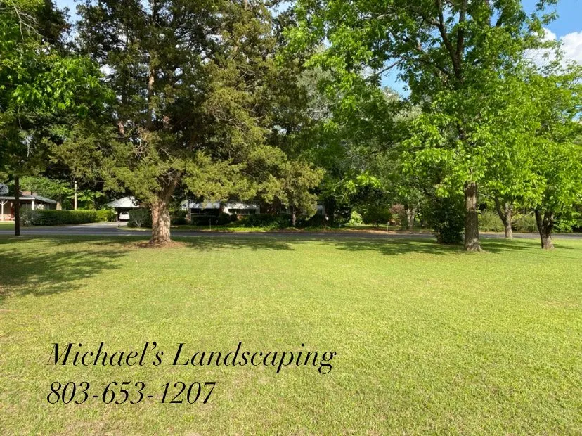 Affordable lawn care service in North, SC - Michael's Landscaping