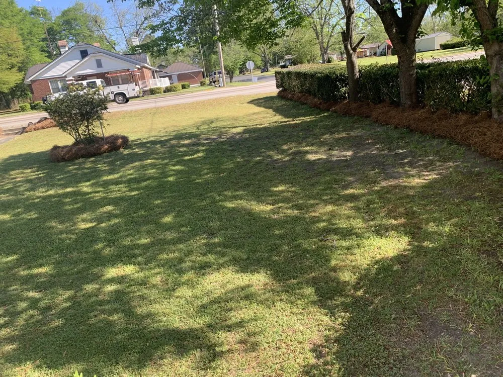 Top-rated garden landscaping near you in North, SC by Michael's Landscaping