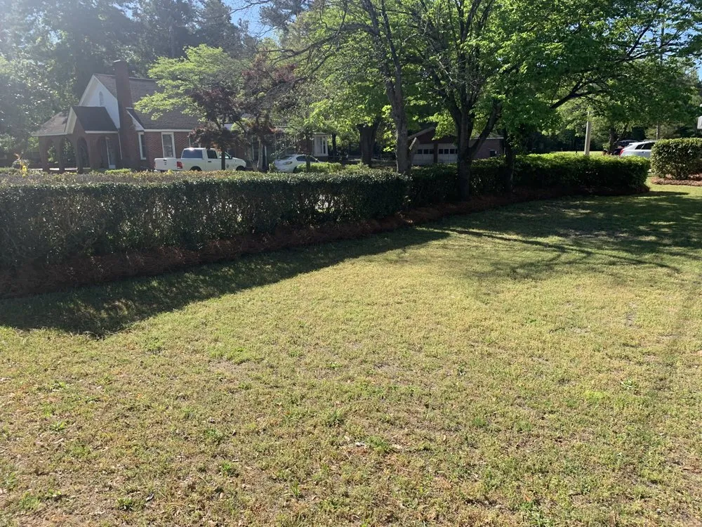 Expert outdoor landscaping for beautiful yards across North, SC - Michael's Landscaping