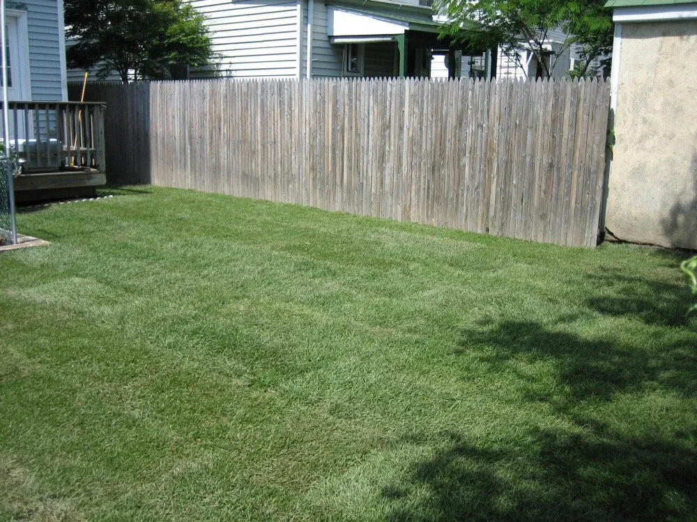 Affordable landscaping services experts serving Ossining, NY - Michael's Landscaping Plus