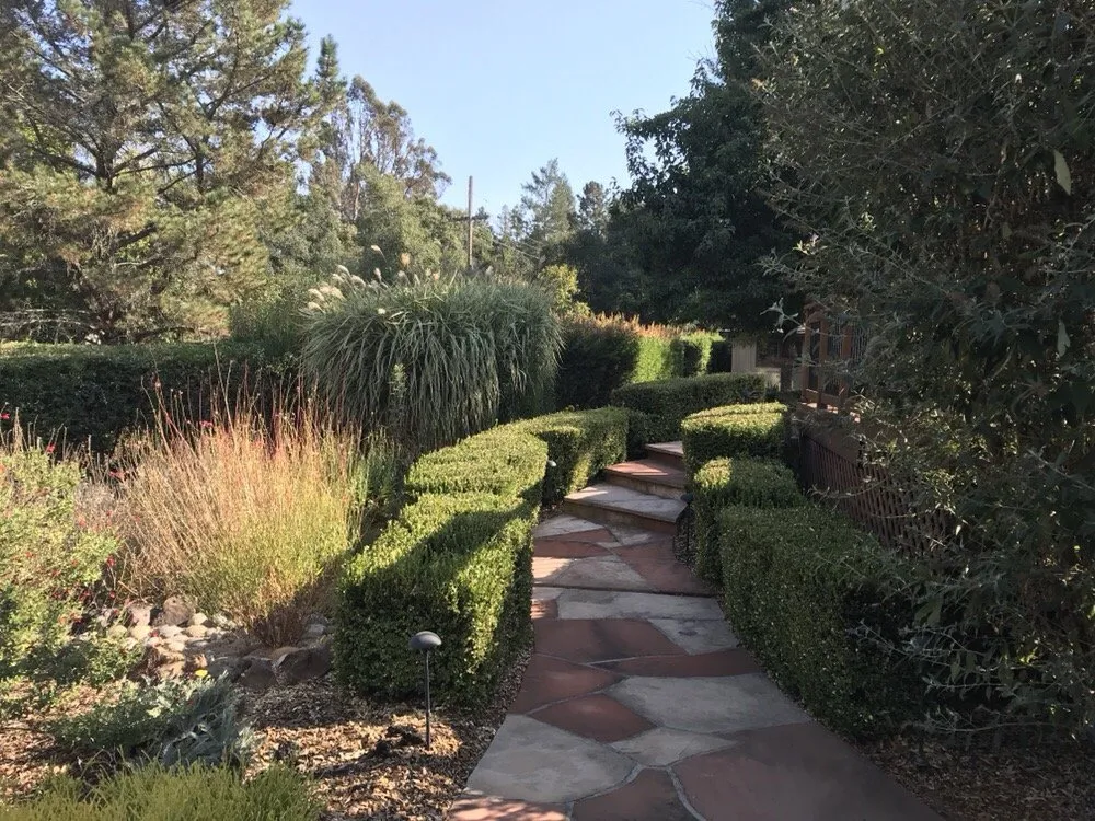 Professional garden landscaping in Santa Rosa, CA - Michael's Landscaping