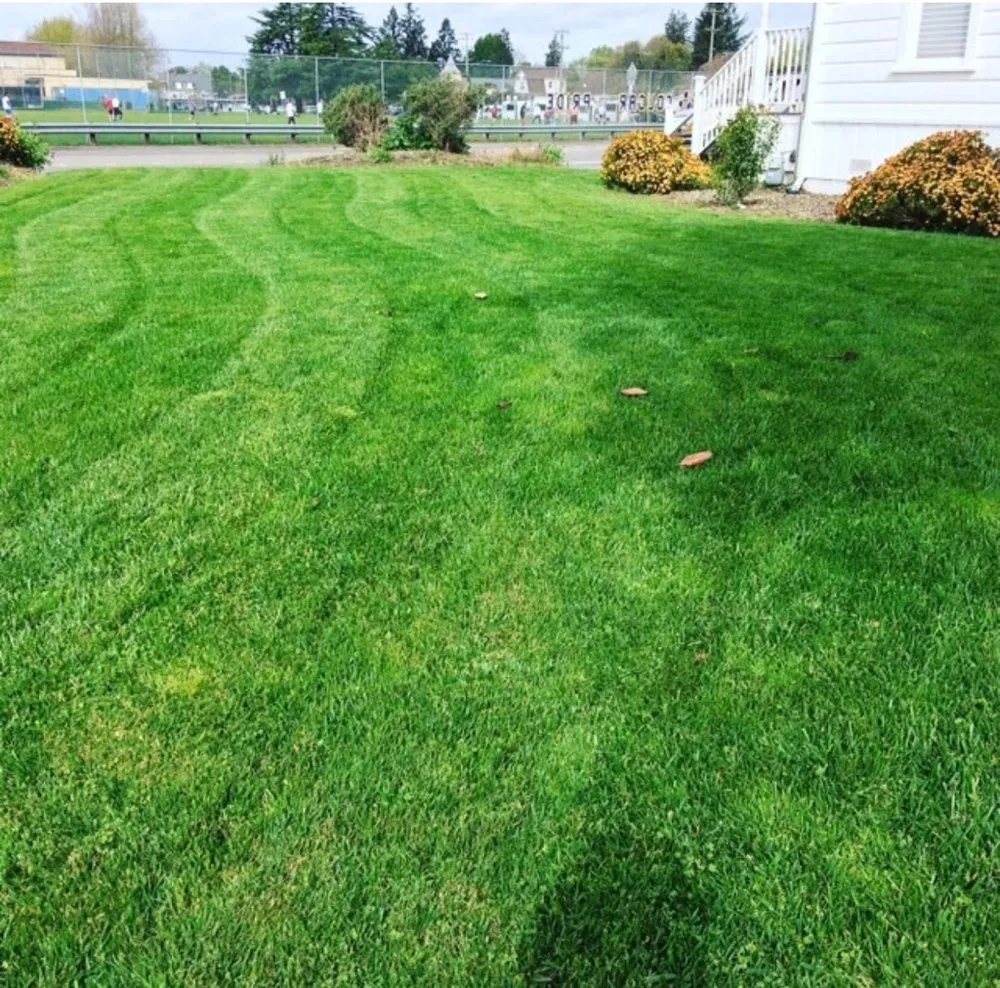Professional yard maintenance for year-round maintenance in Santa Rosa, CA by Michael's Landscaping