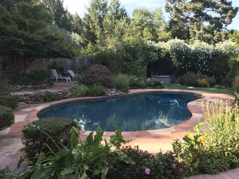 Custom lawn care service for residential properties in Santa Rosa, CA by Michael's Landscaping