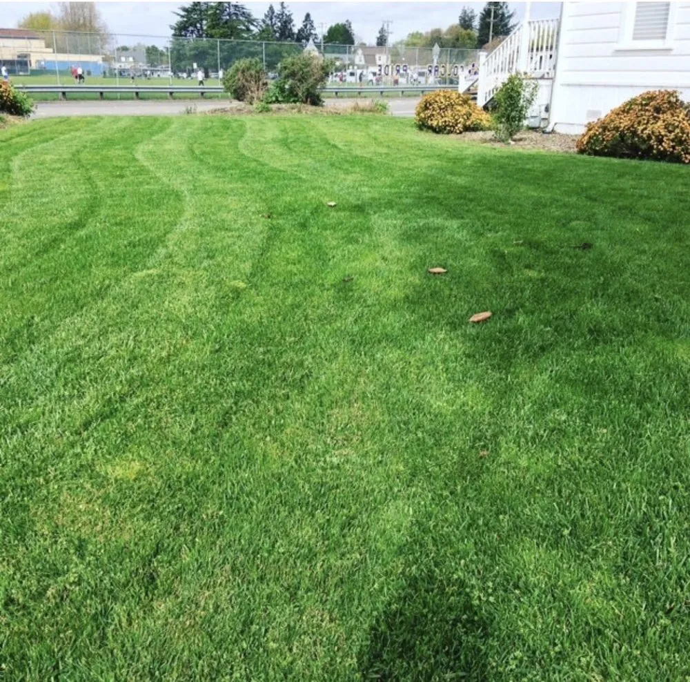 Expert landscape design for beautiful yards in Santa Rosa, CA by Michael's Landscaping