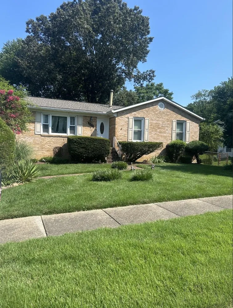 Trusted yard cleanup service experts serving Accokeek, MD - Michael's Landscaping Services