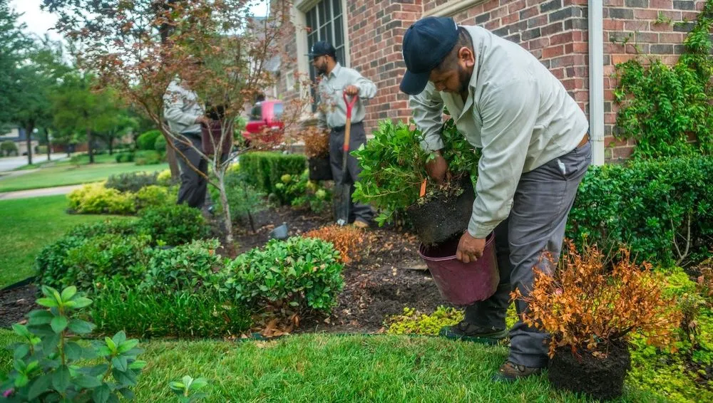 Professional yard cleanup service experts serving Accokeek, MD - Michael's Landscaping Services
