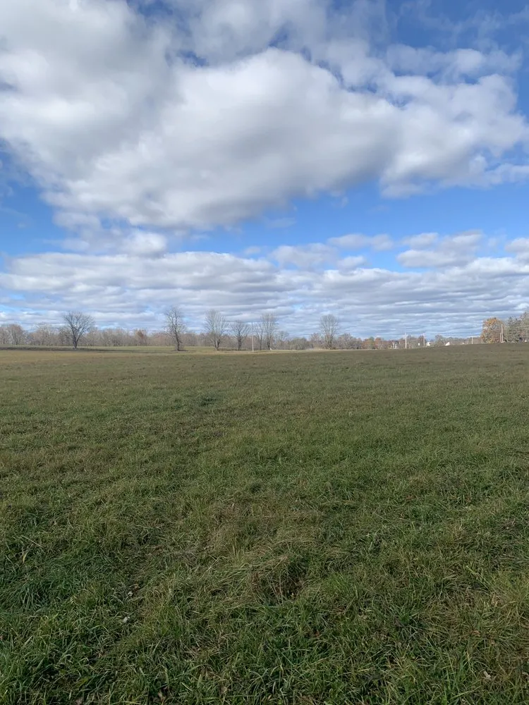 Professional lawn care service in Walden, NY - Michael’s Landscaping