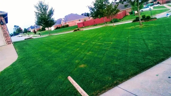 Michael's Lawn & Landscape Logo