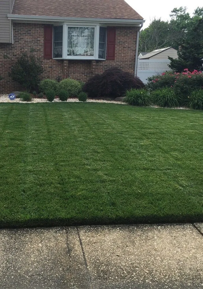 Reliable lawn mowing service experts serving Saint Johns, FL - Michael's Lawn & Landscaping