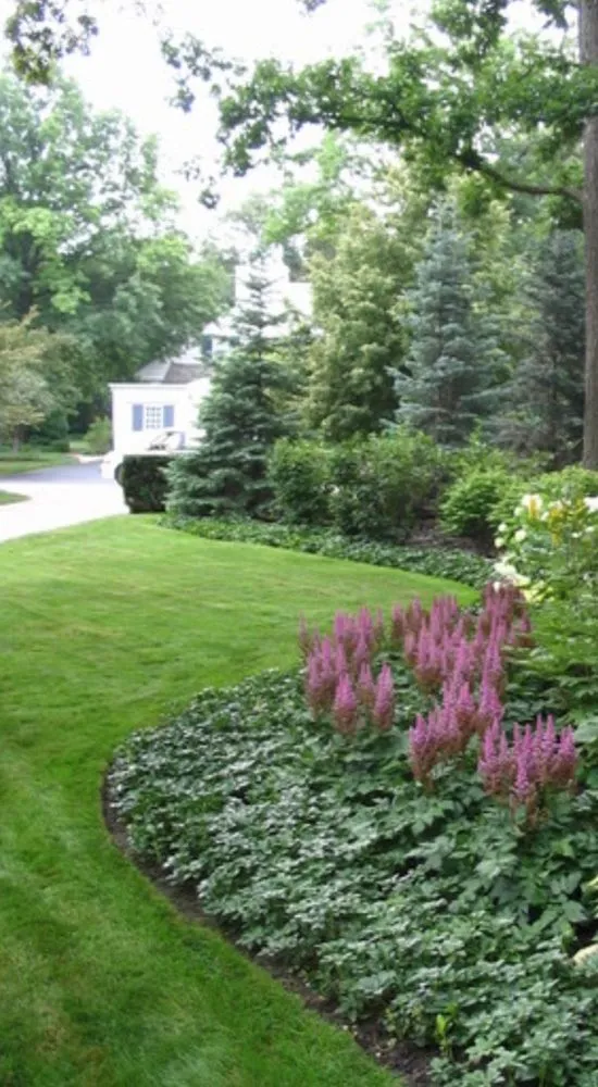 Trusted landscape installation in Saint Johns, FL - Michael's Lawn & Landscaping