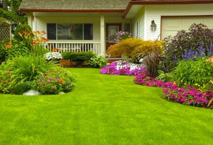 Top-rated yard maintenance with custom design across Saint Johns, FL - Michael's Lawn & Landscaping