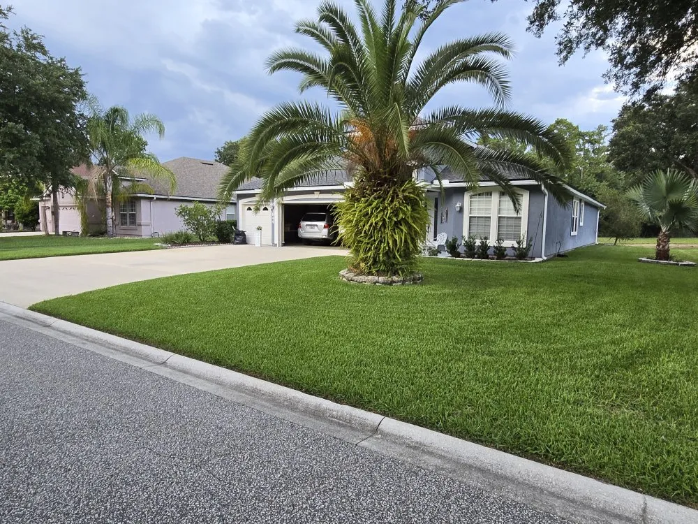 Reliable lawn care service experts serving Saint Johns, FL - Michael's Lawn & Landscaping