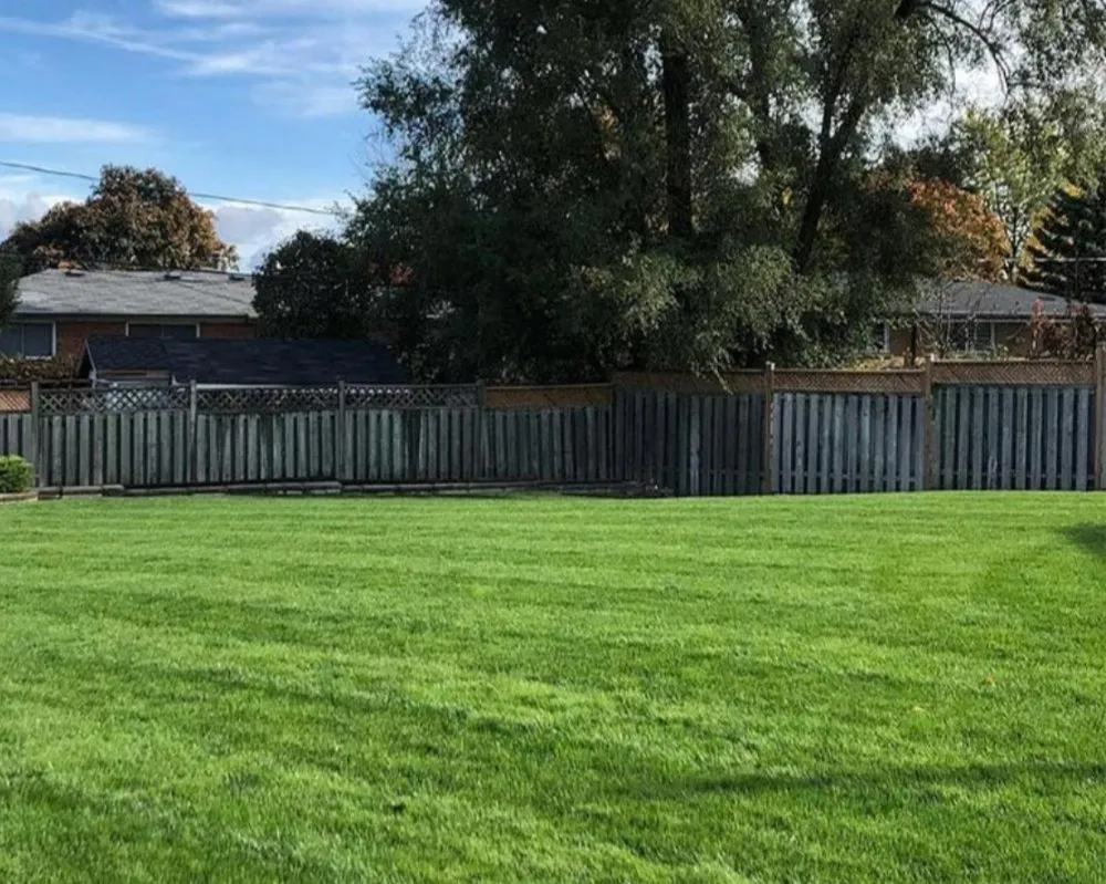 Local lawn care service in Saint Johns, FL - Michael's Lawn & Landscaping